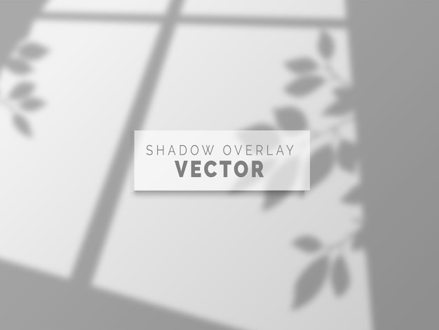 Realistic shadow overlay vector on clean wall