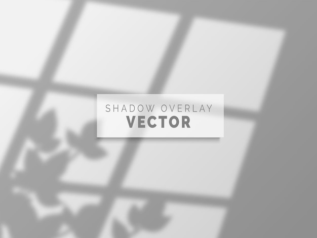 Vector realistic shadow overlay vector on clean wall