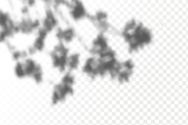 투명한 체크 무늬 배경에 현실적인 그림자 열대 잎과 가지.
