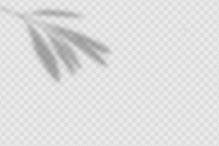 Vector realistic shadow tropical leaves and branches on transparent checkered background