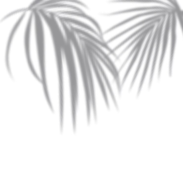 Vector realistic shadow tropical leaves and branches on transparent checkered background