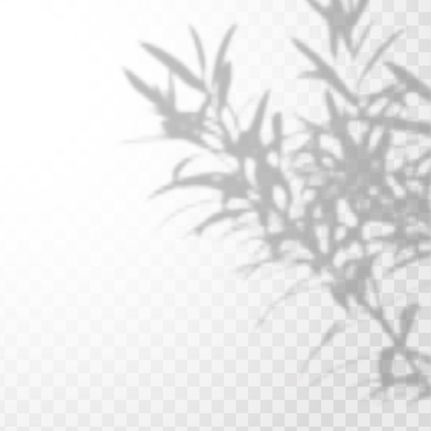 투명한 체크 무늬 배경에 열대 잎이나 가지의 현실적인 그림자