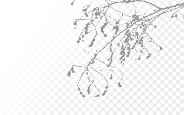 realistic shadow tropical leaves and branches on transparent checkered background.