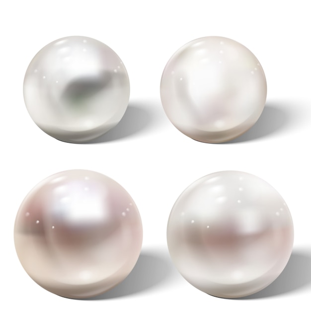 Vettore realistica perla di mare naturale lucida con effetti di luce.