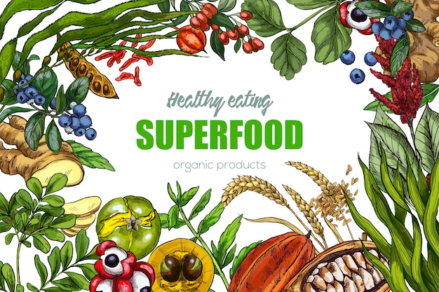 realistic sketch superfood frame