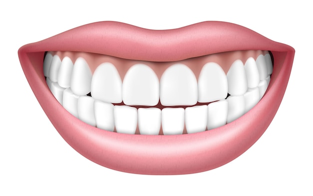 Vector realistic smile with white teeth, lips and teeth, isolated on white background, 3d vector illustration