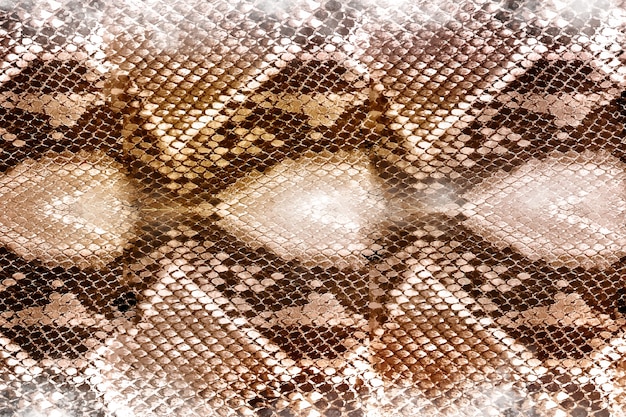 Realistic snake skin pattern background