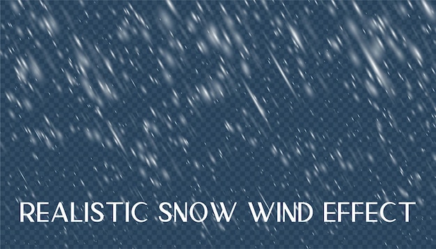 Vector realistic snow wind effect with rain snowfall overlay for photo and image editing frost background