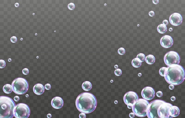 Realistic soap bubbles with rainbow reflection foam bubbles glare vector on png