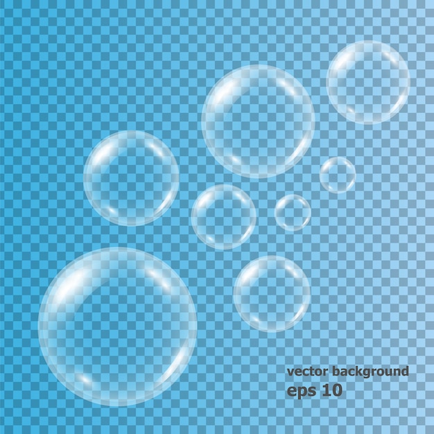 Realistic soap water bubbles transparent