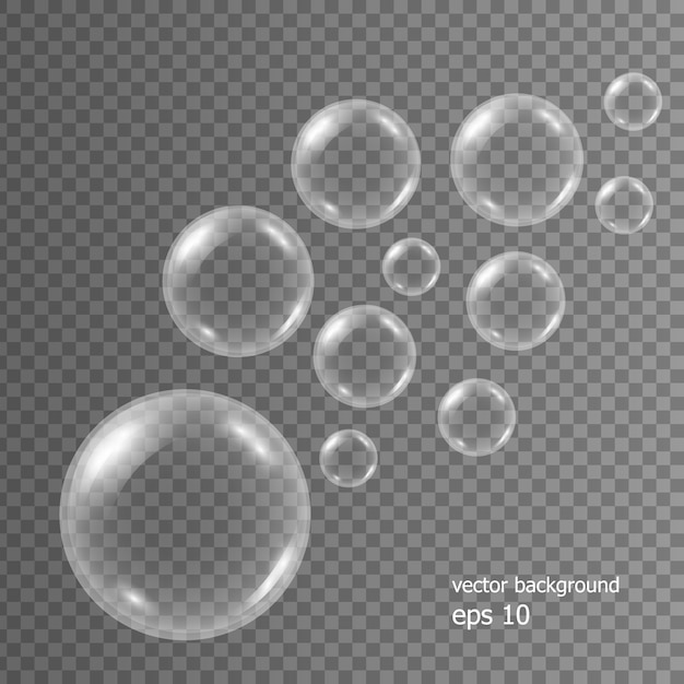 Realistic soap water bubbles transparent