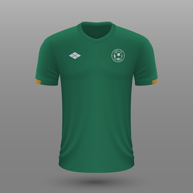 Vector realistic soccer jersey of ireland