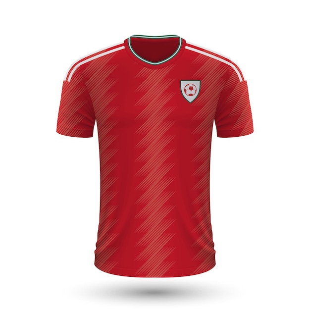 Realistic soccer shirt of wales