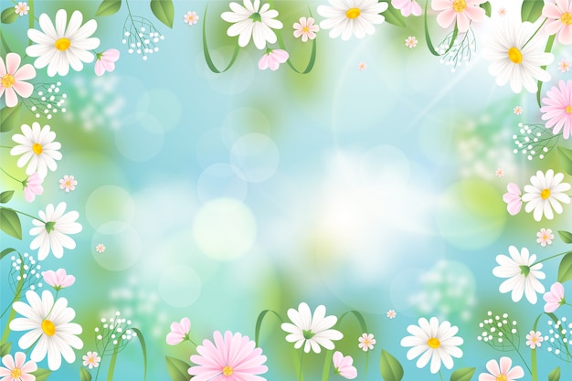 Vector realistic spring background