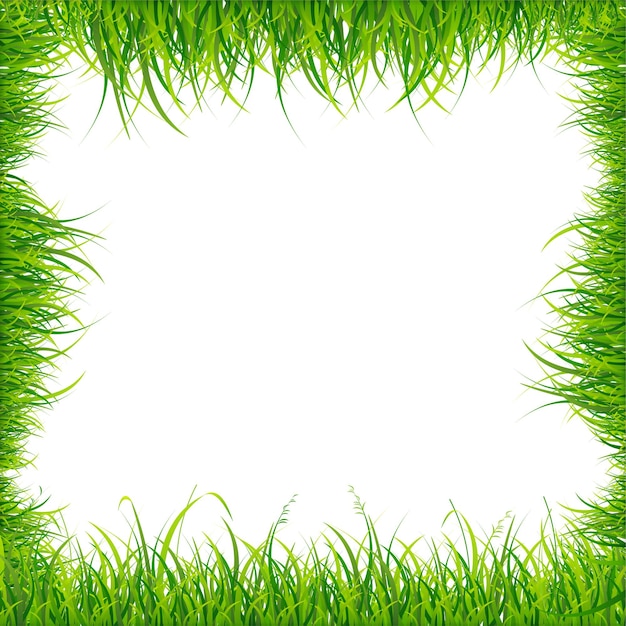 Vector realistic square green grass frame. vector illustration