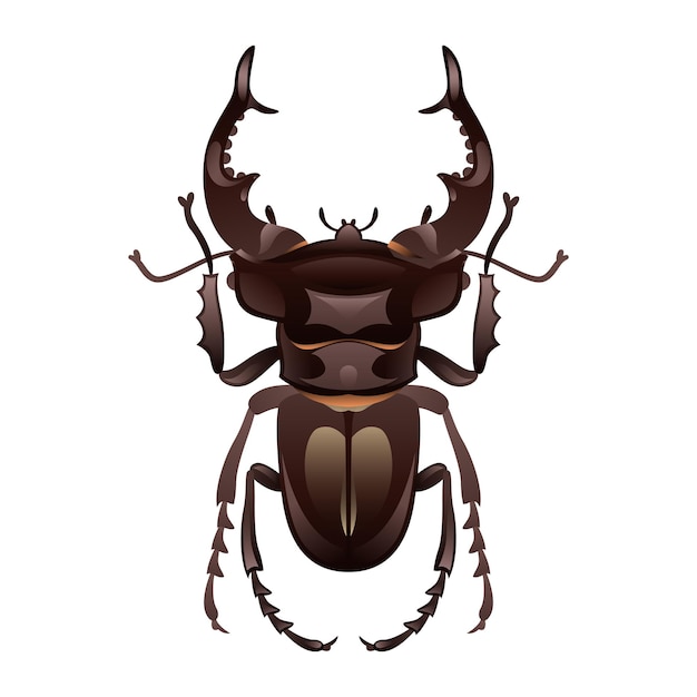 Illustrazione realistica del vettore dello scarabeo di cervo su sfondo bianco