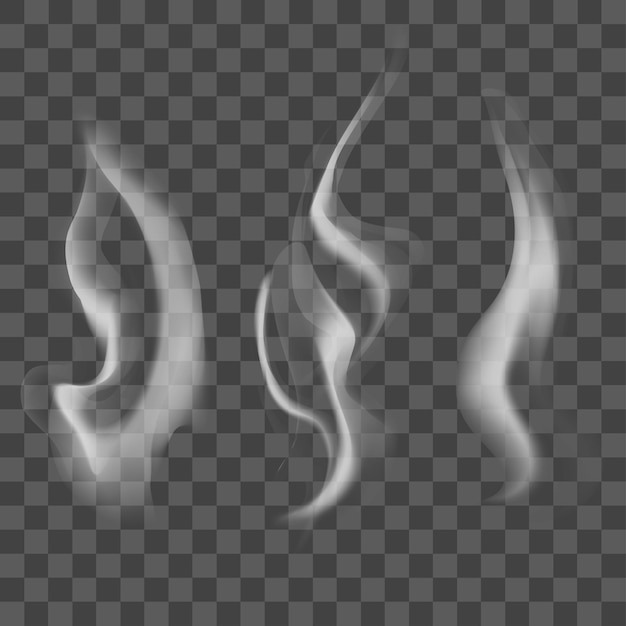 Realistic Steam or Smoke Texture Set on Transparent.