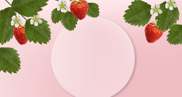 Vector realistic strawberry with leaves and flowers