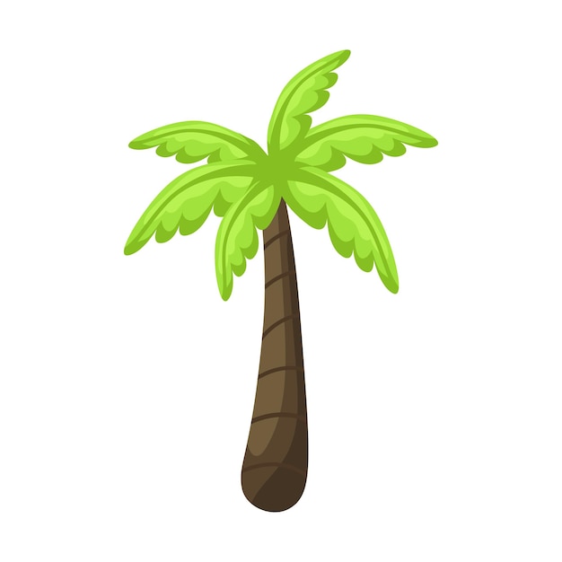 Vector realistic tall green palm tree isolated on white background  vector illustration