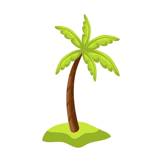 Realistic tall green palm tree isolated on white background  Vector illustration