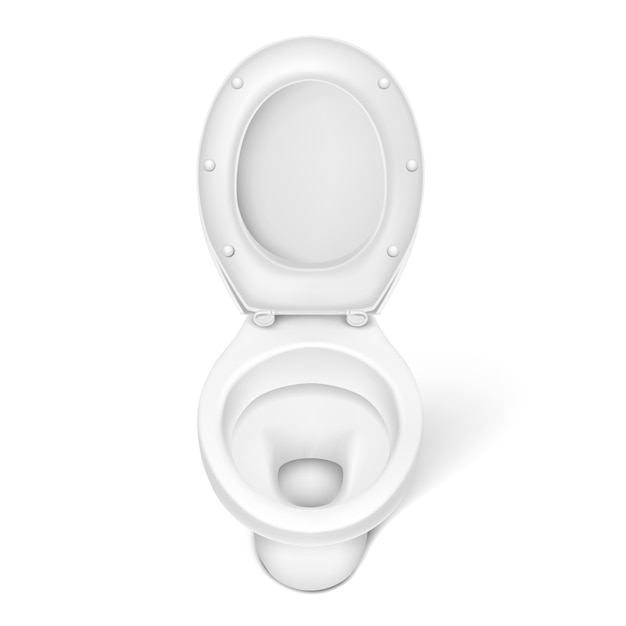 Vector realistic toilet bowl, white porcelain seat.