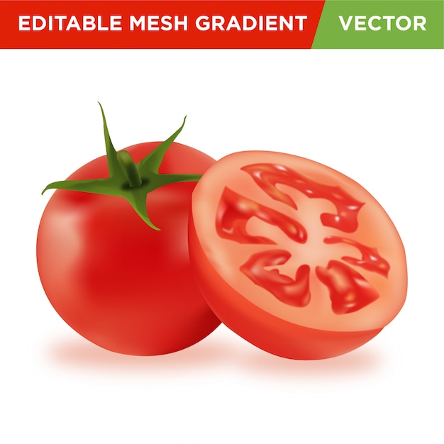 Illustrazione realistica della verdura del pomodoro