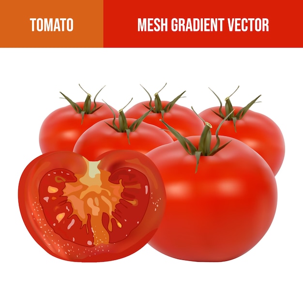 Vettore illustrazione realistica della verdura del pomodoro