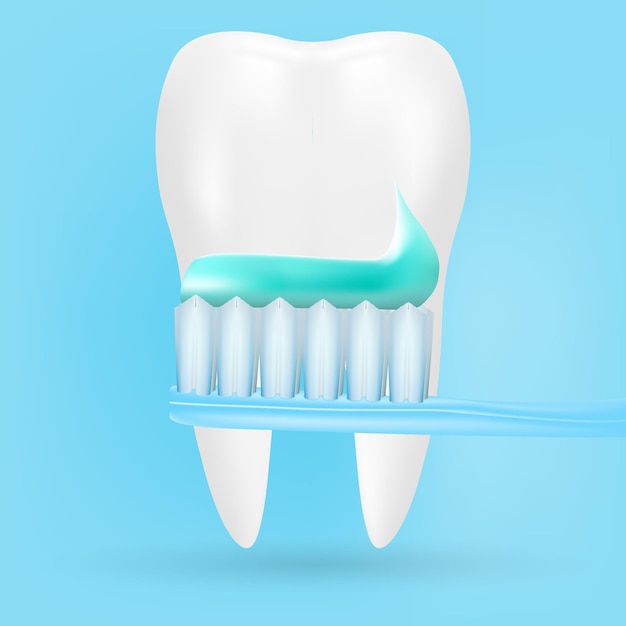 Dente realistico e spazzolino da denti poster stomatologia icona isolata su uno sfondo illustrazione vettoriale realistica