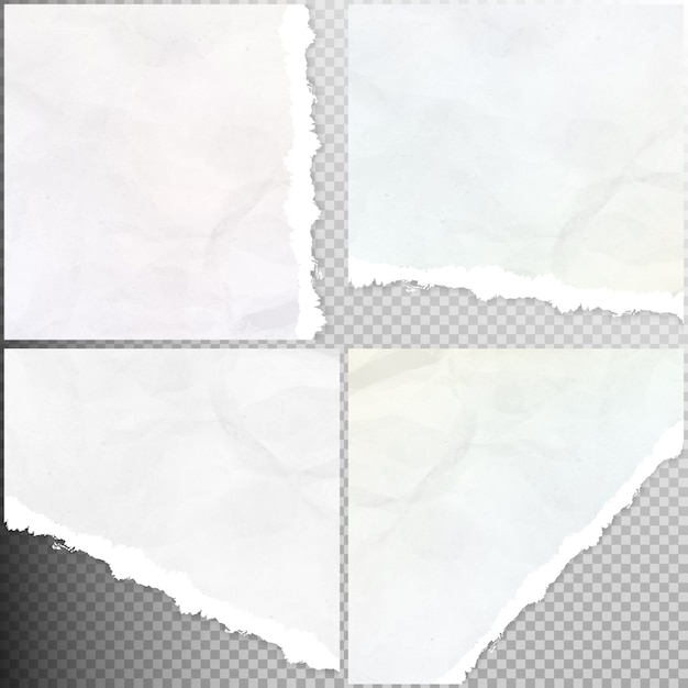 Vector realistic torn paper set