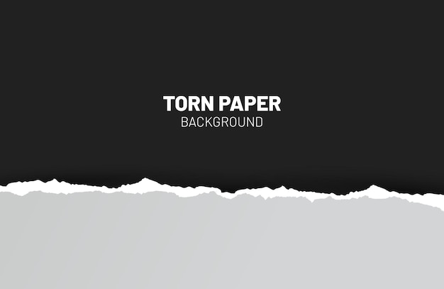 Realistic torn ripped paper in black and gray color