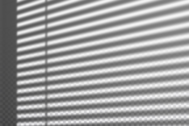 Vector realistic transparent drop shadow from the blinds on a wall striped overlay effect for photo