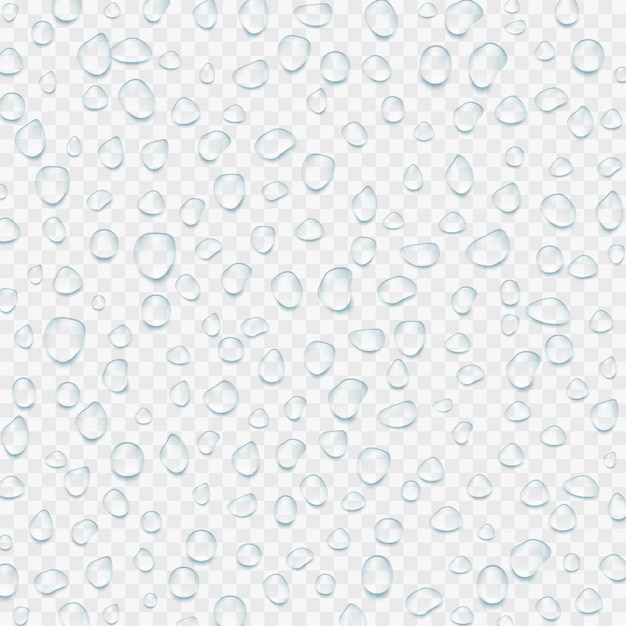 Vector realistic transparent water drops.  illustration