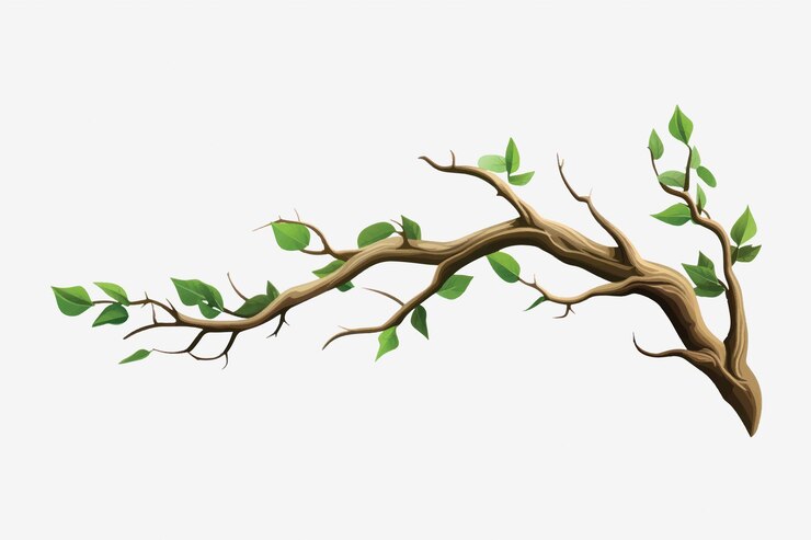 Vector realistic tree branch illustration