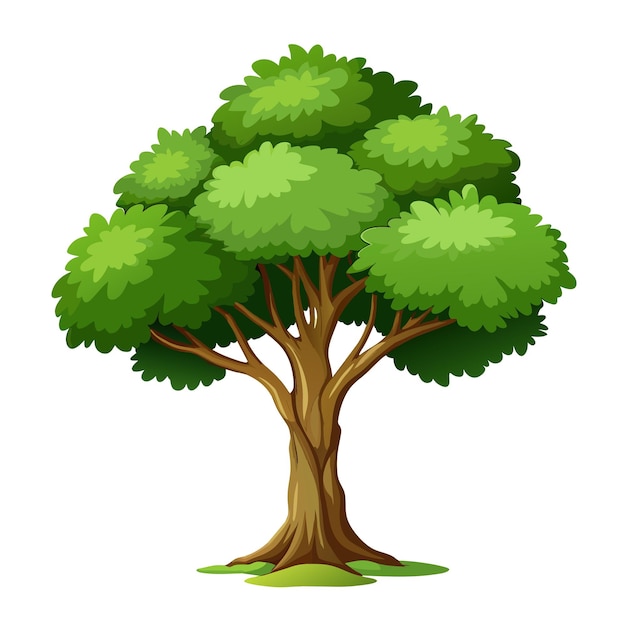 Realistic Tree Vector Illustration isolated on white screen