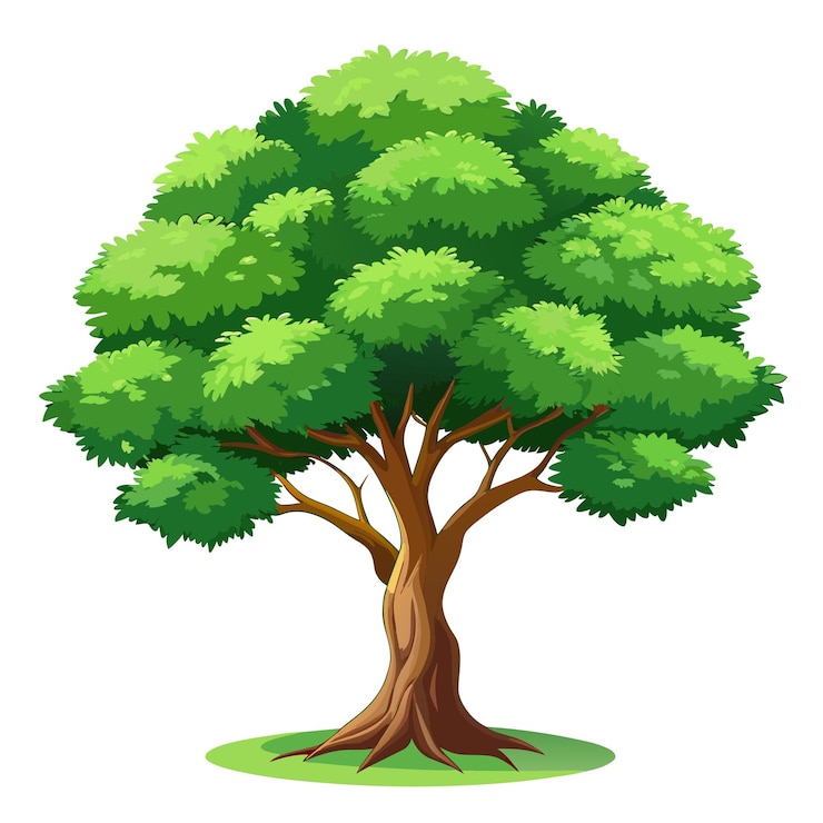 Vector realistic tree vector illustration isolated on white screen