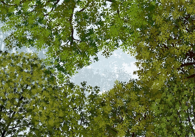 Vettore lo sfondo degli alberi realistici