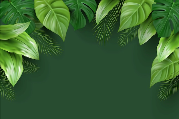 Vector realistic tropical leaves background