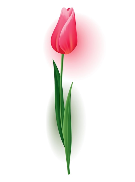 Реалистичный тюльпан со стеблем бутона с зелеными листьями красивый весенний розовый цветок элемент векторного дизайна для пригласительной открытки или карты сохранения даты