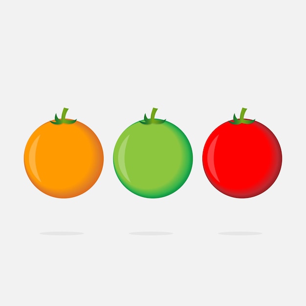 Realistic vector of 6 different colors of tomatoes on transparent background Red green yellow