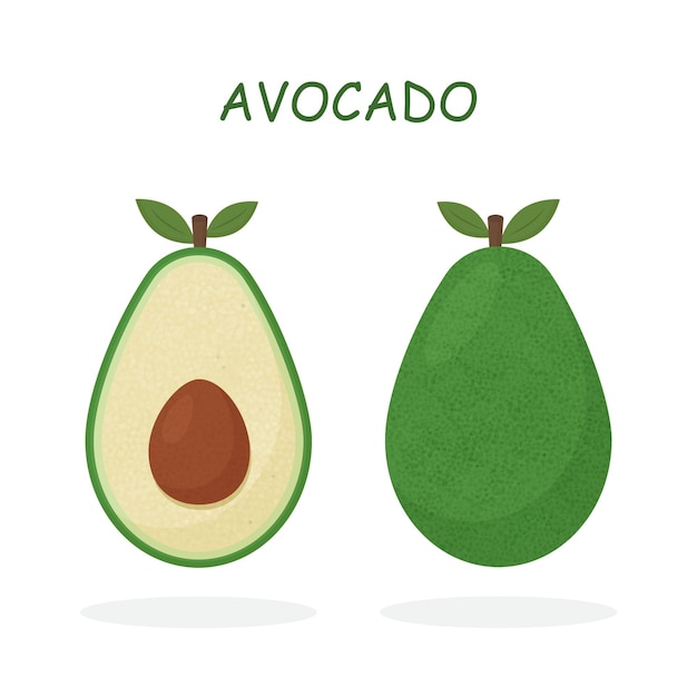 Realistic vector avocados illustration