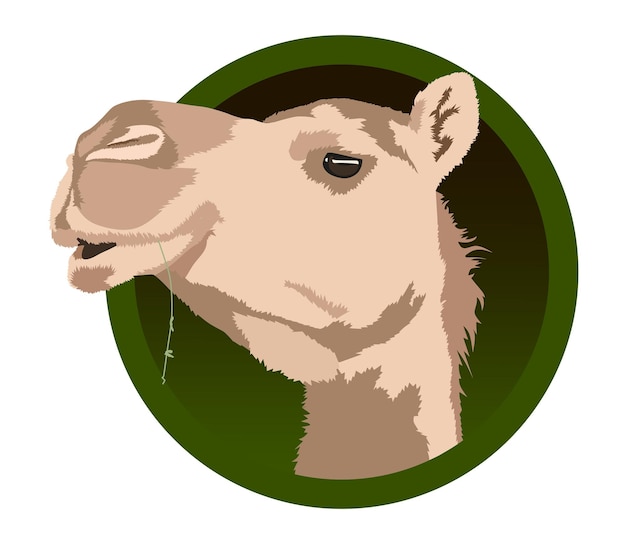 Realistic vector camel head