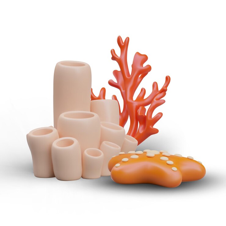 Vector realistic vector composition sea sponge branch coral starfish