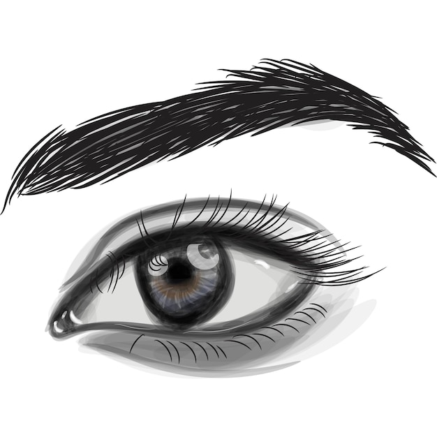 Realistic vector eye