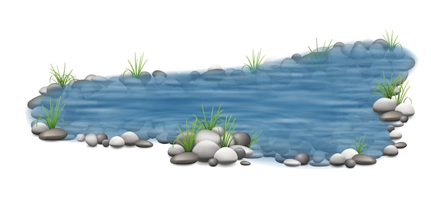 Vector realistic vector garden pond with stones on the bottom and grass on the shore.