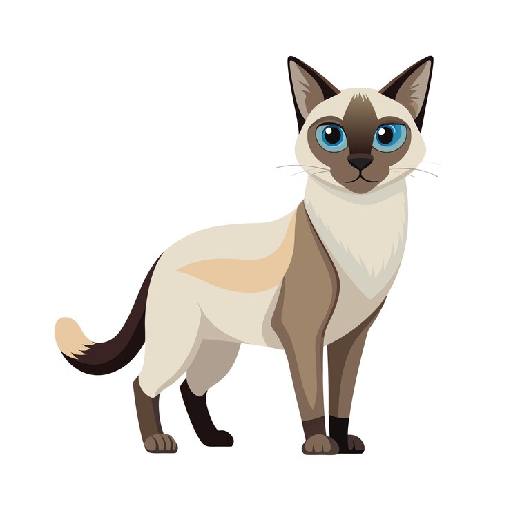 Vector 人気のペット猫のリアルなベクトルイラスト