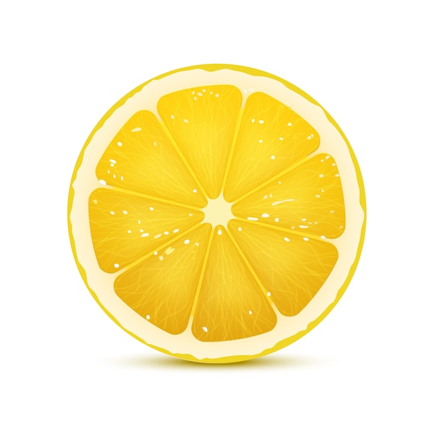 Realistic vector illustration of lemon slice