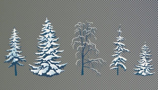 Realistic vector illustration of a spruce tree in the snow Elements for the Christmas scene