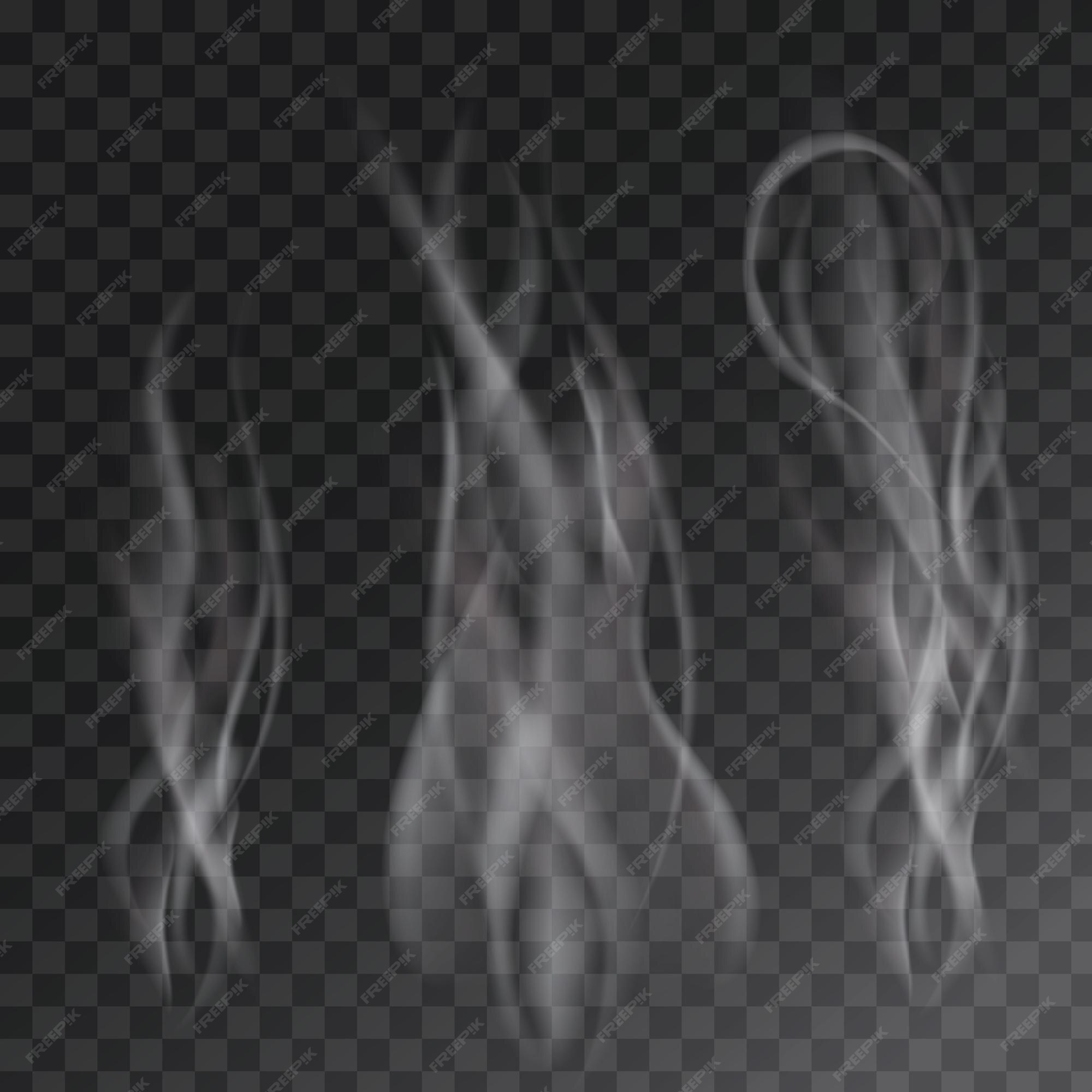 Premium Vector  Set of several realistic transparent smoke or