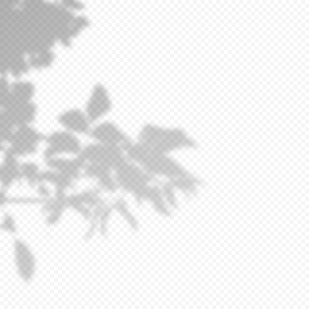 Vector realistic vector transparent overlay blured shadow of branch leaves. design element for presentations and mockups. overlay effect of tree shadow.