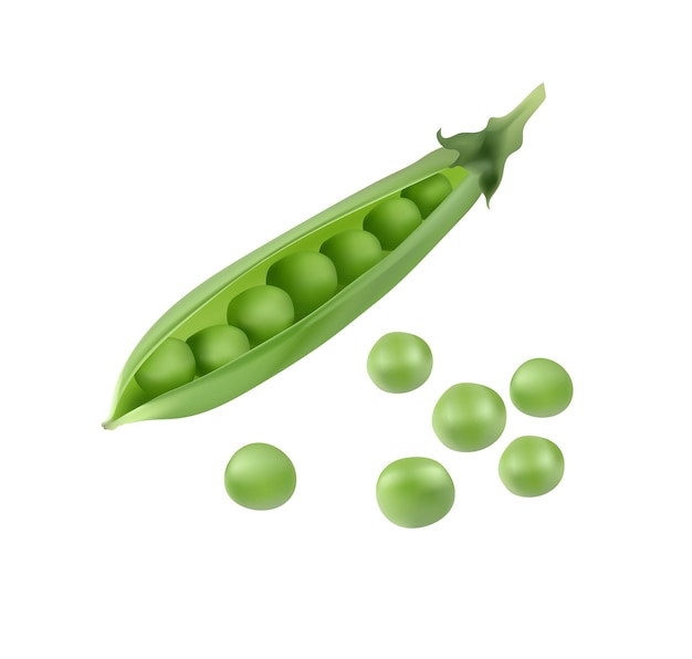 Realistic vegetable isolated on a transparent background high quality vector